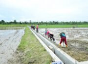Badak Banten Pandeglang Apresiasi Program Pembangunan Infrastruktur di Kabupaten Pandeglang