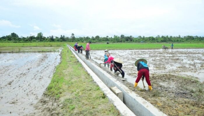 Badak Banten Pandeglang Apresiasi Program Pembangunan Infrastruktur di Kabupaten Pandeglang