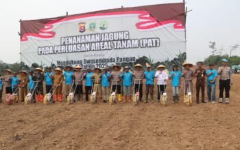 Ketahanan Pangan