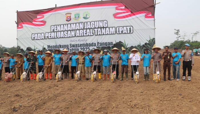 Kapolda Banten dan Kapolres Lebak Tanam Jagung di Cimarga, Dukung Program Ketahanan Pangan Nasional
