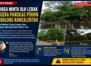 Pohon Rimbun di Balong Rancalentah Dikeluhkan Warga, Minta DLH Lebak Segera Lakukan Pemangkasan