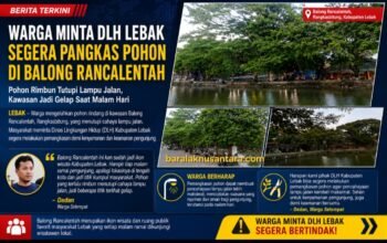 Pohon Rimbun di Balong Rancalentah Dikeluhkan Warga, Minta DLH Lebak Segera Lakukan Pemangkasan
