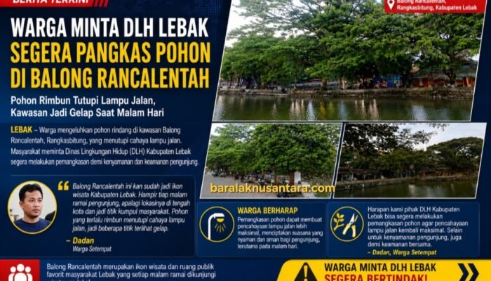 Pohon Rimbun di Balong Rancalentah Dikeluhkan Warga, Minta DLH Lebak Segera Lakukan Pemangkasan