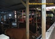Hewan Kurban di Kabupaten Lebak Dipastikan Sesuai Aturan, Pedagang Klaim Sudah Lewati Pemeriksaan dan Karantina