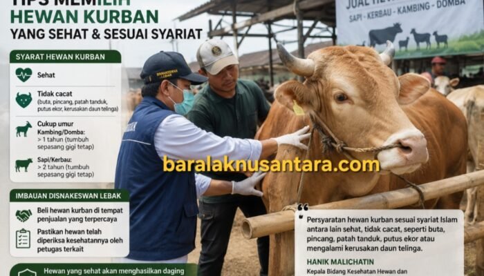 Disnakeswan Lebak Imbau Warga Teliti Memilih Hewan Kurban Jelang Iduladha 1447 H