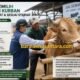 Disnakeswan Lebak Imbau Warga Teliti Memilih Hewan Kurban Jelang Iduladha 1447 H