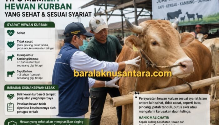 Disnakeswan Lebak Imbau Warga Teliti Memilih Hewan Kurban Jelang Iduladha 1447 H