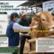 Disnakeswan Lebak Imbau Warga Teliti Memilih Hewan Kurban Jelang Iduladha 1447 H