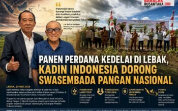 Panen Perdana Kedelai di Lebak, Kadin Indonesia Dorong Swasembada Pangan Nasional