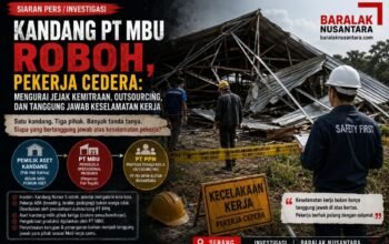 Kandang PT MBU Roboh, Pekerja Cedera: Menelusuri Jejak Kemitraan, Aset, dan Tenaga Kerja