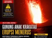 Gunung Anak Krakatau Erupsi Menerus, Dentuman Terdengar hingga Serang