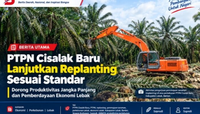PTPN Cisalak Baru Lanjutkan Replanting Sesuai Standar: Wujudkan Produktivitas Jangka Panjang dan Berdayakan Ekonomi Lebak